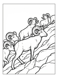 Bighorn Sheep Climbing Rocky Hillside