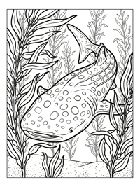 Whale Shark Swimming In Kelp Forest