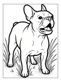 French Bulldog Barking In Grassy Park