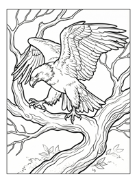 Eagle Perching Forest Branch