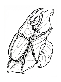 Hercules Beetle Climbing On Flower Petal