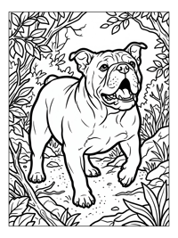 Bulldog Barking Woodland Trail
