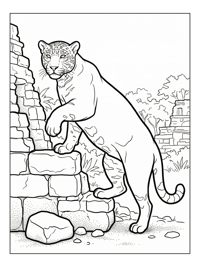 Jaguar Climbing Ancient Mayan Ruins