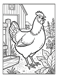 Hen Crowing In Barnyard