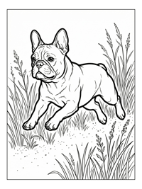 French Bulldog Jumping Grassy Park