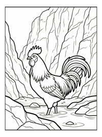 Alert Rooster Wading Mountain Stream