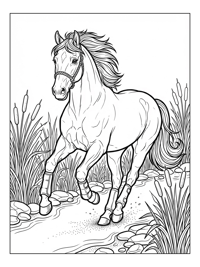 Show Horse Cantering By Riverbank