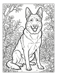 German Shepherd Sitting In Garden