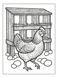 Chicken Walking With Eggs Nesting Box