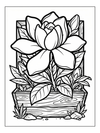 Gardenia Blooming In Window Box