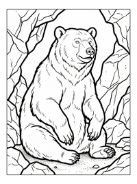 Sun Bear Sits Attentively In Cave