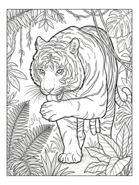 Sumatran Tiger Grooming In Rainforest