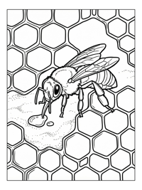 Honey Bee Drinking Water On Honeycomb
