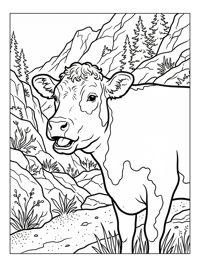 Hereford Cow Mooing In Mountains