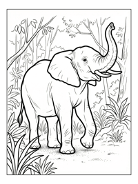 African Forest Elephant Trumpeting In Forest