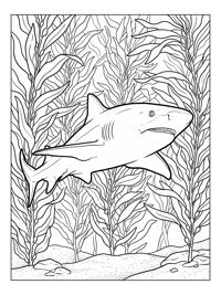 Lemon Shark Patrolling Kelp Forest