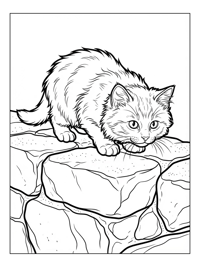 Fluffy Kitten Stalking Stone Ledge