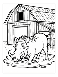 Warthog Wallowing Near Rustic Barn