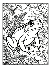 Wood Frog Watching In Tropical Jungle
