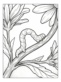 Inchworm Crawling Flower Stem