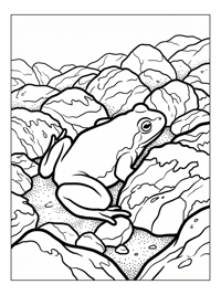 Fire-Bellied Toad Hiding Among Rocks