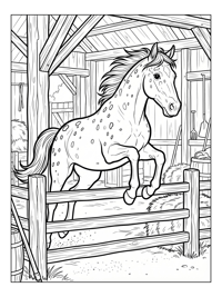 Appaloosa Horse Jumping In Rustic Stable