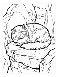 Ragdoll Cat Purring On Stone Ledge