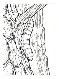 Forest Tent Caterpillar Hanging On Tree Bark