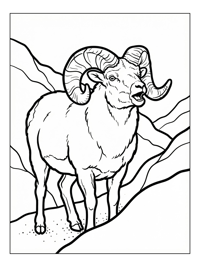 Bighorn Sheep Bleating On Rolling Hills