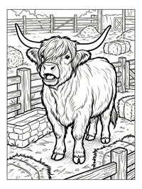 Highland Cow Mooing In Farmyard