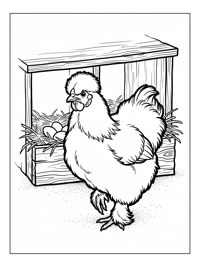 Silkie Chicken Walking By Nesting Box