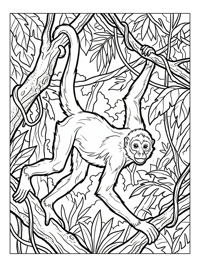 Spider Monkey Climbing Jungle Canopy