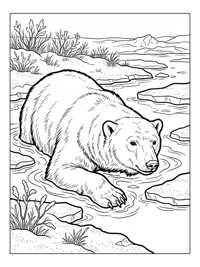 Polar Bear Swimming Arctic Ice Floes