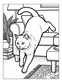 British Shorthair Cat Leaping In Living Room