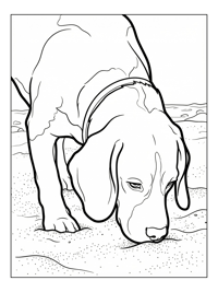 Beagle Dog Sniffing On Sandy Beach