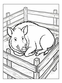 Wild Boar Resting In Wooden Pen