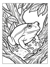 Tomato Frog Sits On Tree Branch