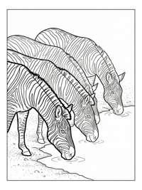 Zebra Herd Drinking From Waterhole