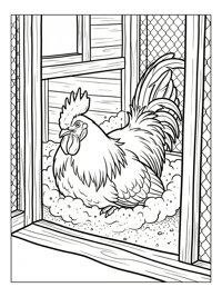 Rooster Dust Bathing In Chicken Coop