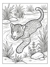Jaguar Cub Swimming In Riverbank