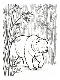Brown Bear Walking In Bamboo Grove