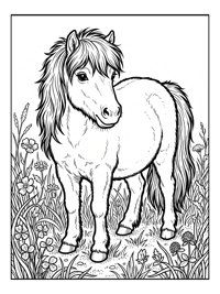 Shetland Pony Standing In Paddock