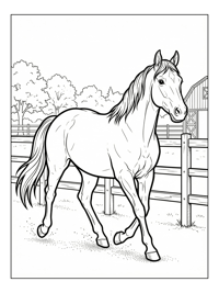 Quarter Horse Trotting In Paddock