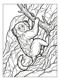 Curious Marmoset Hanging On Rocky Outcrop