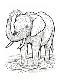 Elephant Spraying Water In Mud Pit