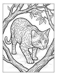 Bengal Cat Hunting Tree Branches