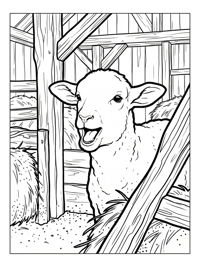 Lamb Bleating In Wooden Barn
