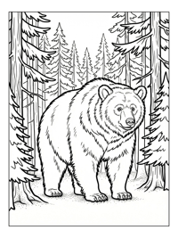 Sloth Bear Standing In Pine Forest