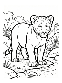 Lion Cub Standing By Watering Hole
