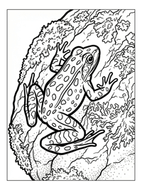 Leopard Frog Climbing On Mossy Rock